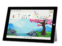 疏勒Surface 无法开启、Windows 无法启动或电池无法充电